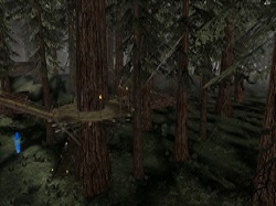 Endor: Bunker GCW